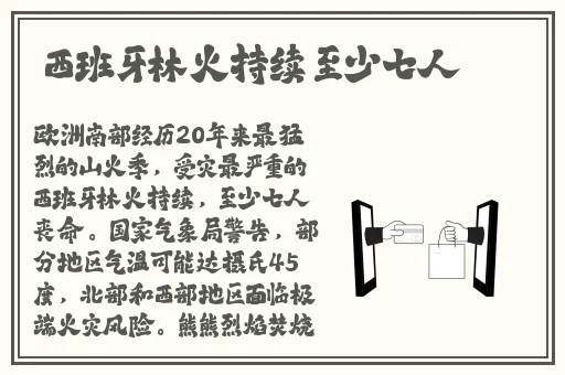 久久久2019精品视频